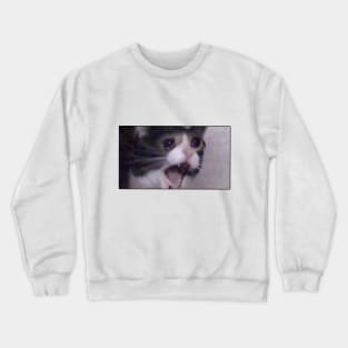 Sad Cat Crewneck Sweatshirt